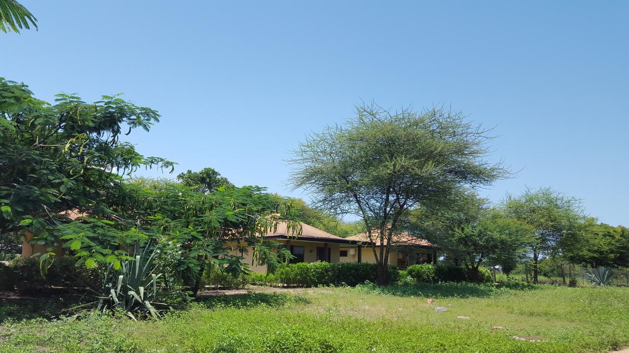 Tan-Swiss Lodge Mikumi المظهر الخارجي الصورة